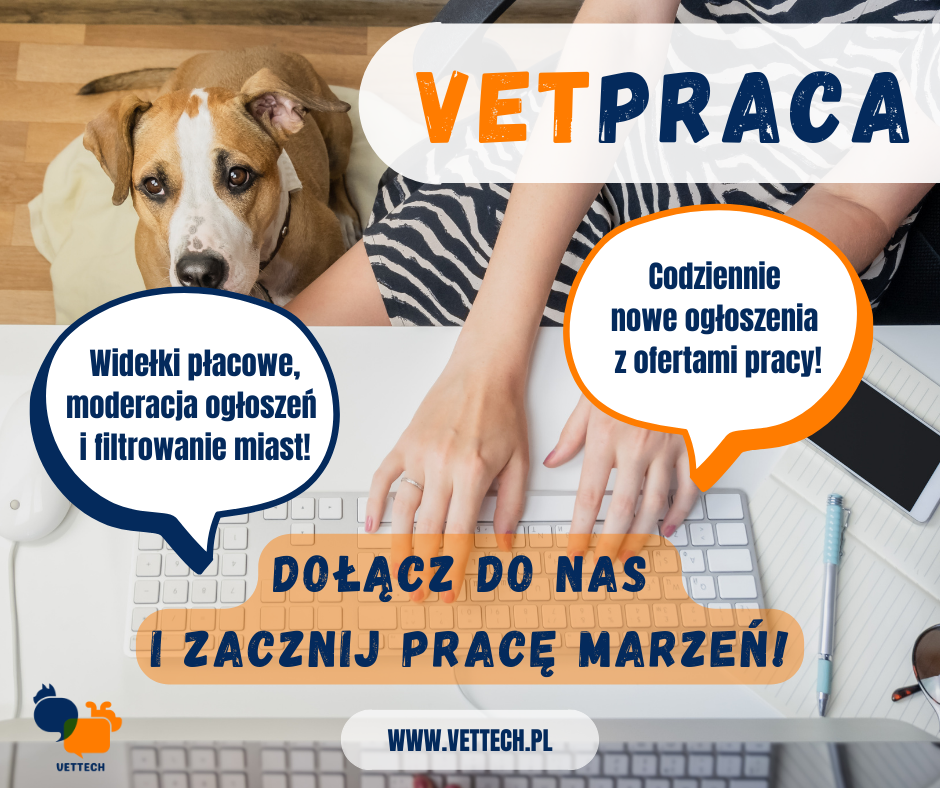 Praca dla weterynarzy